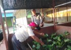 BNNK Banjarbaru Dukung Inovasi Budidaya Belut Warga Landasan Ulin