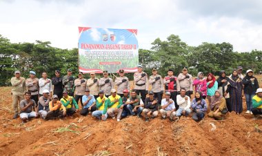 Tanam Jagung Tahap II di Lahan Binaan Bidpropam Polda Kalsel