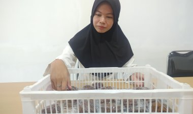 SPPG Guntung Manggis 4 Tegaskan Roti Bukan Berjamur, Kepala Satuan Pastikan Hanya Tepung