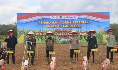 Sinergi Polres dan Pemkab Balangan Dorong Ketahanan Pangan Lewat Penanaman Jagung