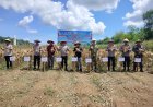 Optimis Jadi Daerah Sentra Jagung, Hasil Memuaskan Panen Jagung Kuartal ll Polda Kalsel Di Tanah Laut